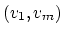 $(v_1,v_m)$