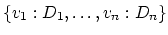 $\{v_1 : D_1,\ldots,v_n : D_n\}$